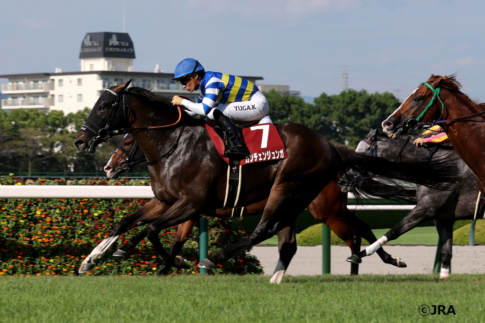 JRA（日本中央競馬会） - 2001年の宝塚記念(GI)を制したのは