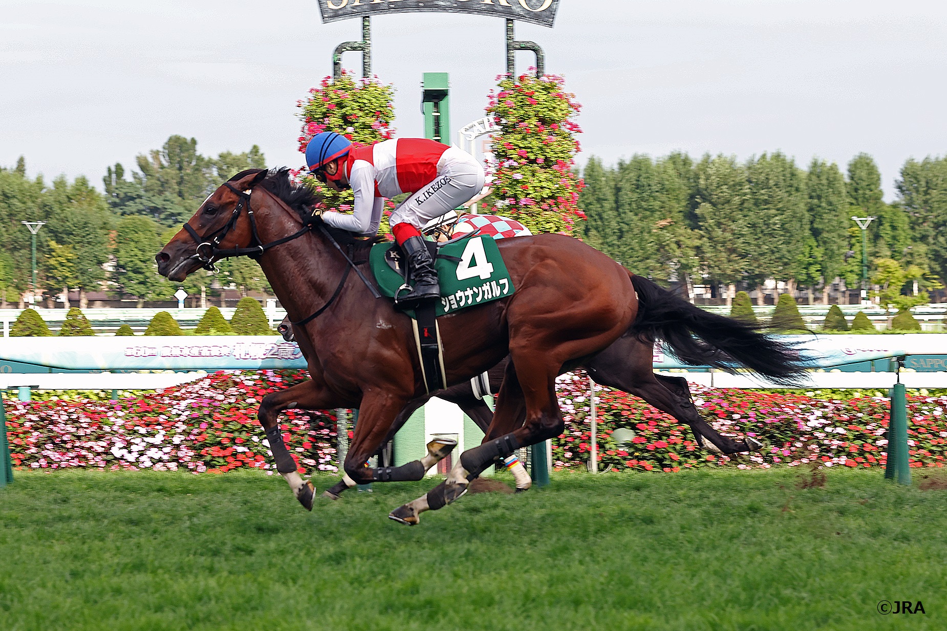JRA（日本中央競馬会） - 2002年のシンザン記念(GIII)優勝馬