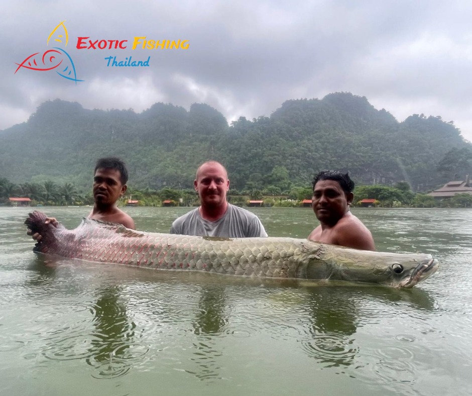 トップブリッジ　ARAPAIMA MINORITY アラパイマ　激レアカラー Exotic - Happy day ticket anglers with one of our larger Arapaima