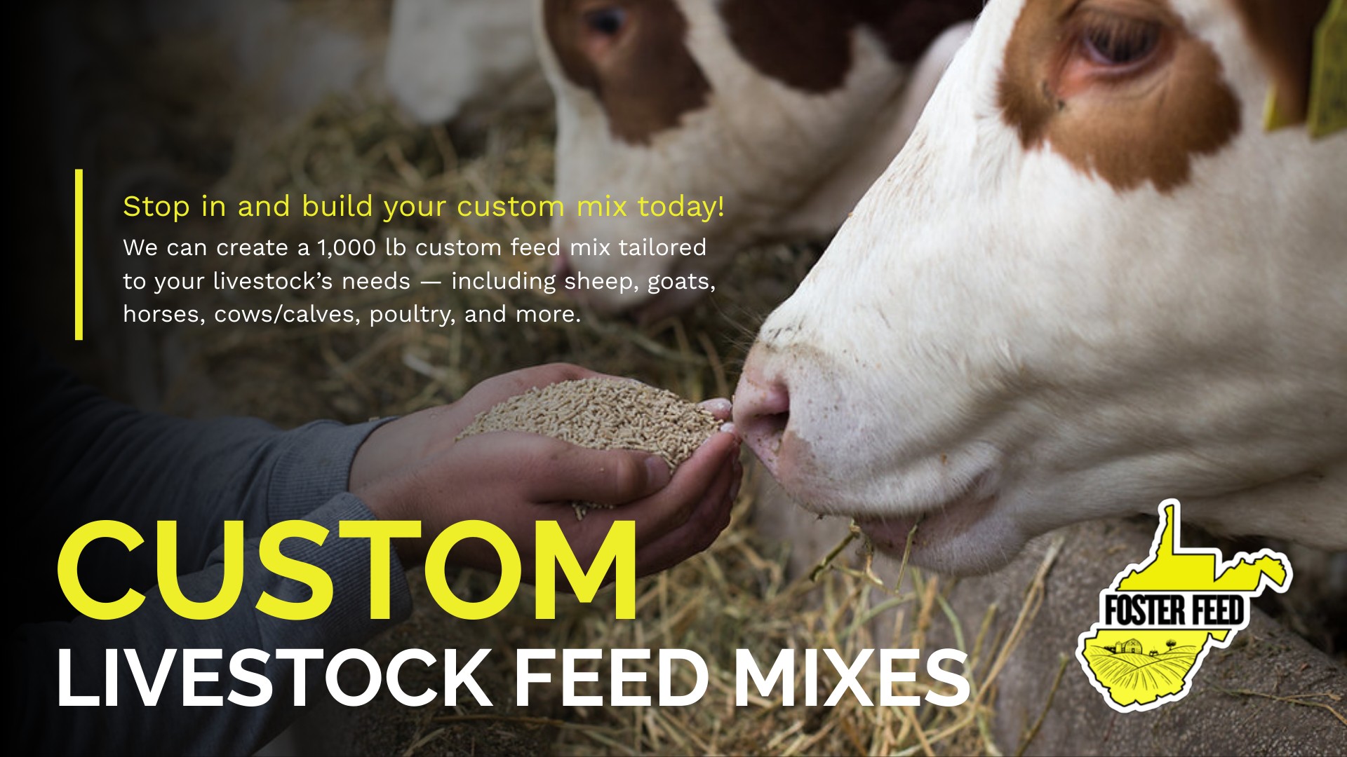 Foster Feed - 🚜 CUSTOM LIVESTOCK FEED MIXES — MADE FOR YOU... | Facebook