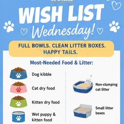 ドッグフード wish listh 🥣 Wish List Wednesday: Food & Litter 🐾 Wish List Wednesday