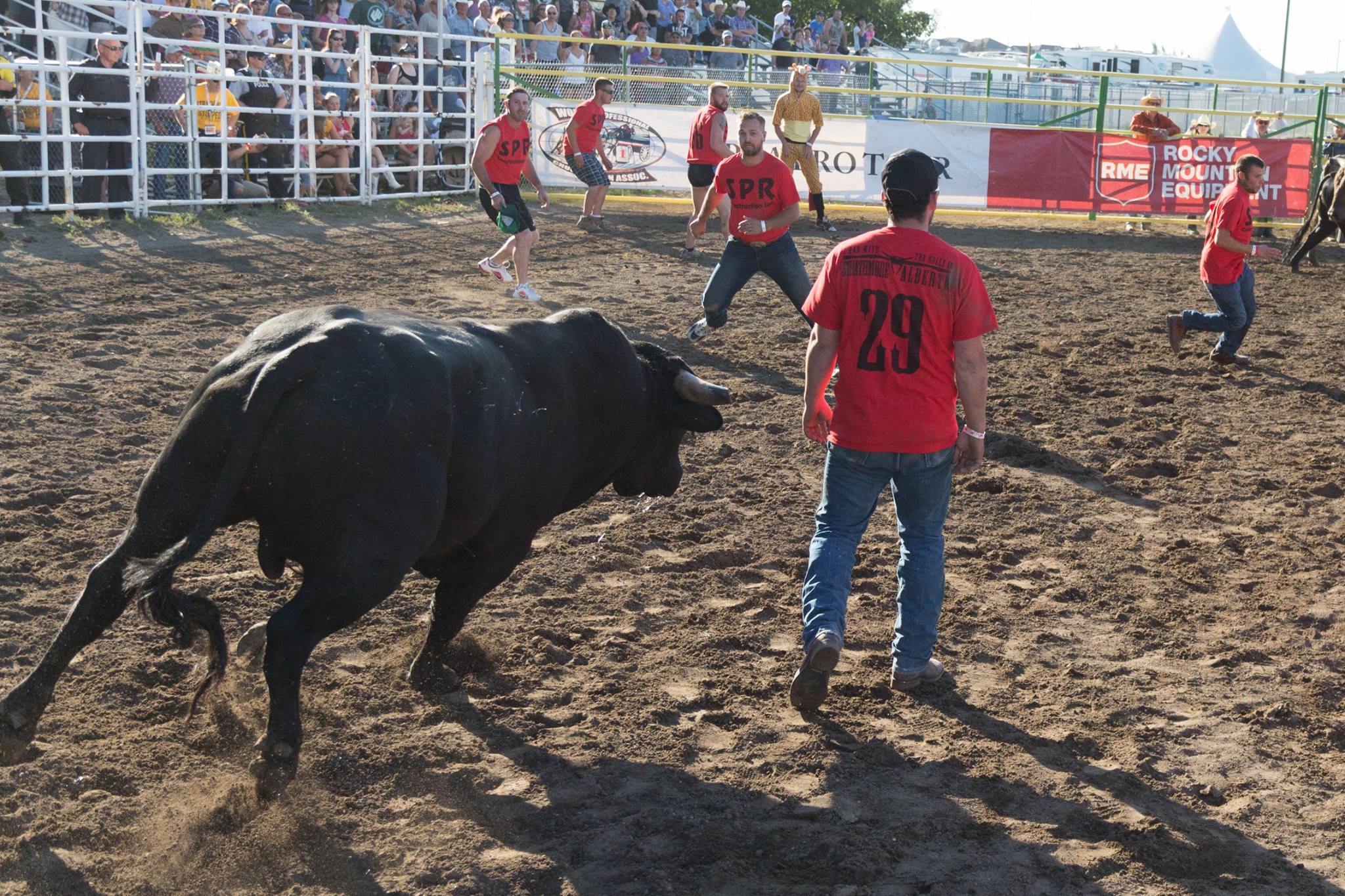 Is this the year YOU Run with the... - Strathmore Stampede