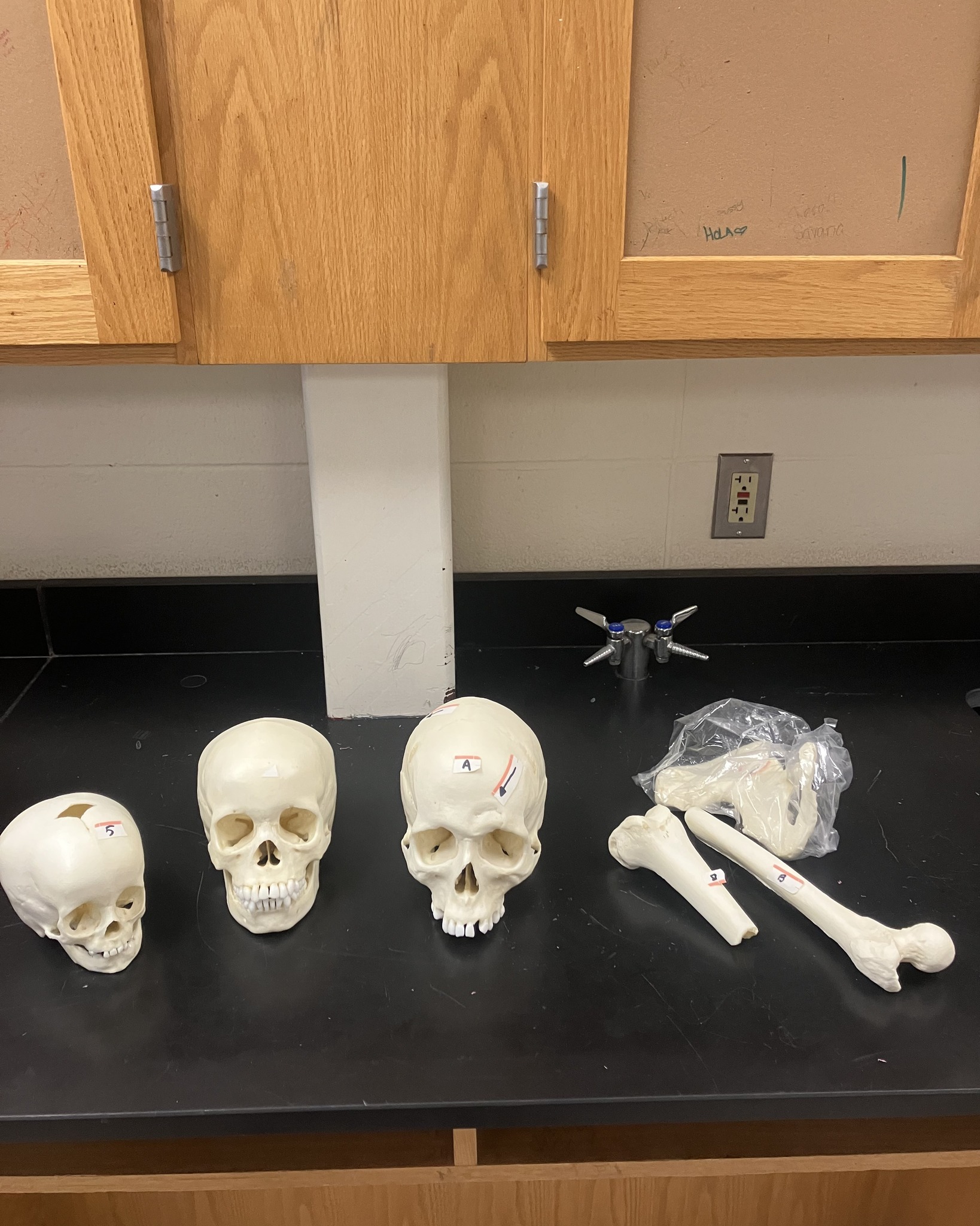 Schenectady - What does real-world science look like in the classroom ...
