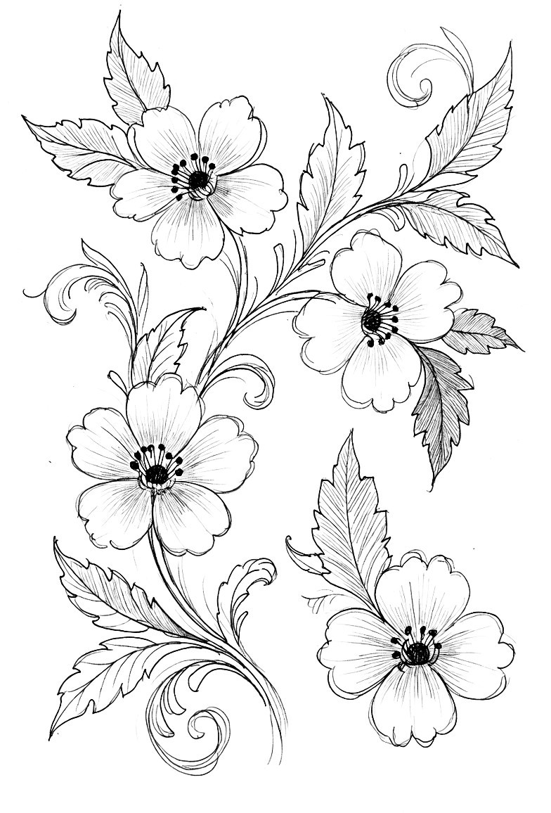 Draw online - Flower 🌺🌺🌺 sketch images.. #flowerdrawing... | Facebook