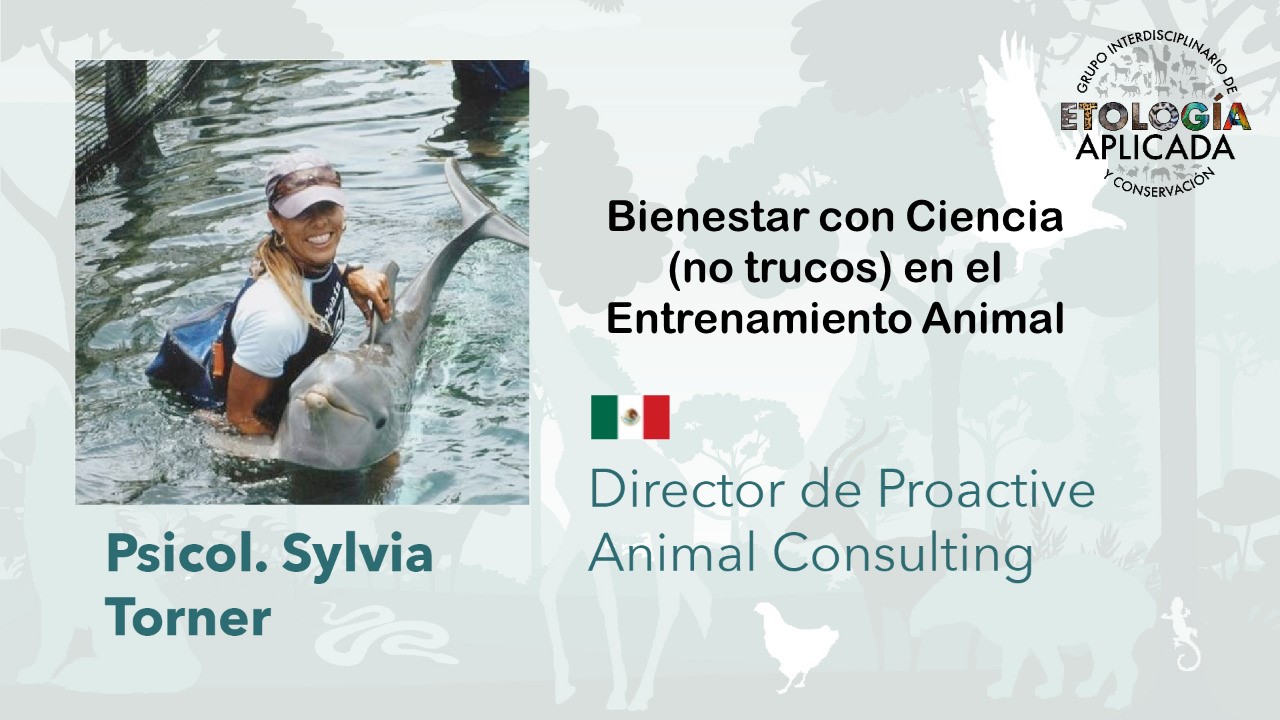 Proactive Animal Consulting | Cancún