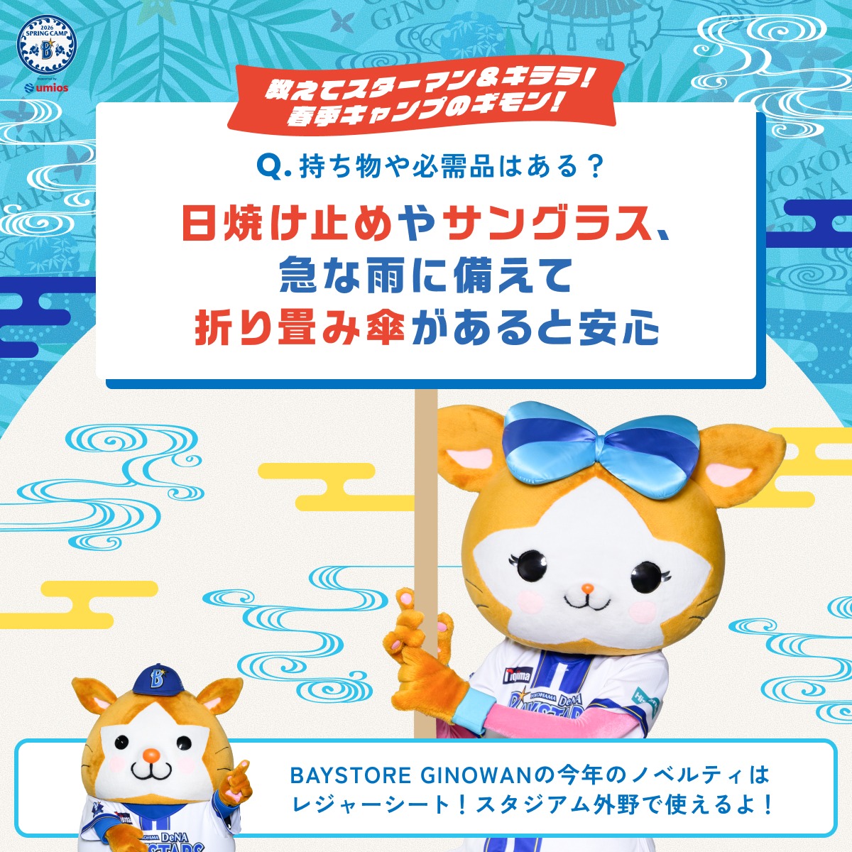 プロ 野球 キャンプ 持ち物