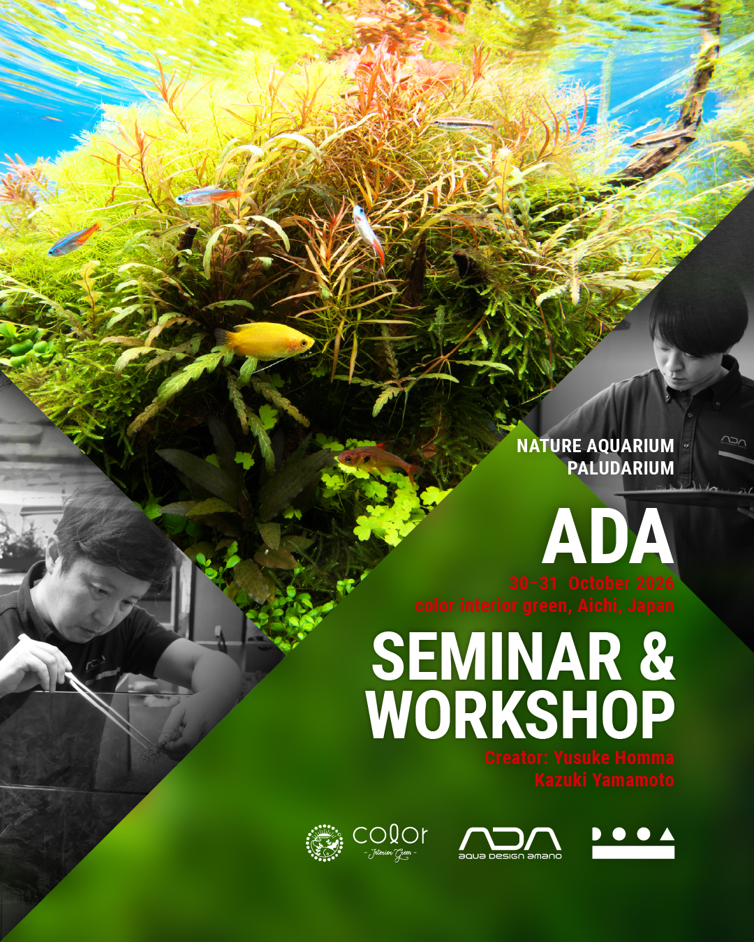 ADA Nature Aquarium - Aqua Design Amano Co., Ltd (@AquaDesignAmano
