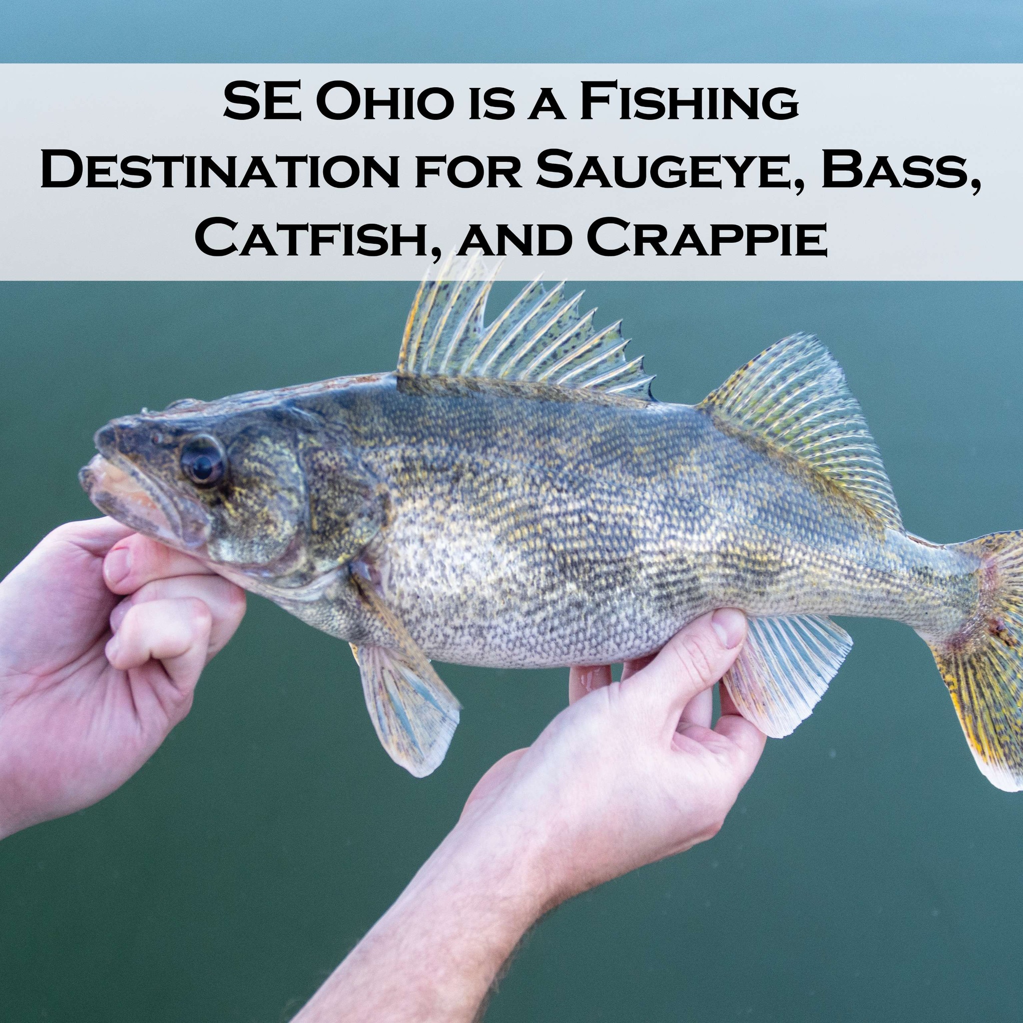 18 foot telescopic fishing pole Sougayilang Rod – 24 Ton Carbon Fiber Ultralight, Portable Retractable Handle, CNC Reel Seat, Stainless Steel Guides for Bass, Trout, Salmon, Panfish : Sports & Outdoors Velcro strap secures pole Tackle Otaku's Custom BENto Choose color:Trout Graphite Reel Seat