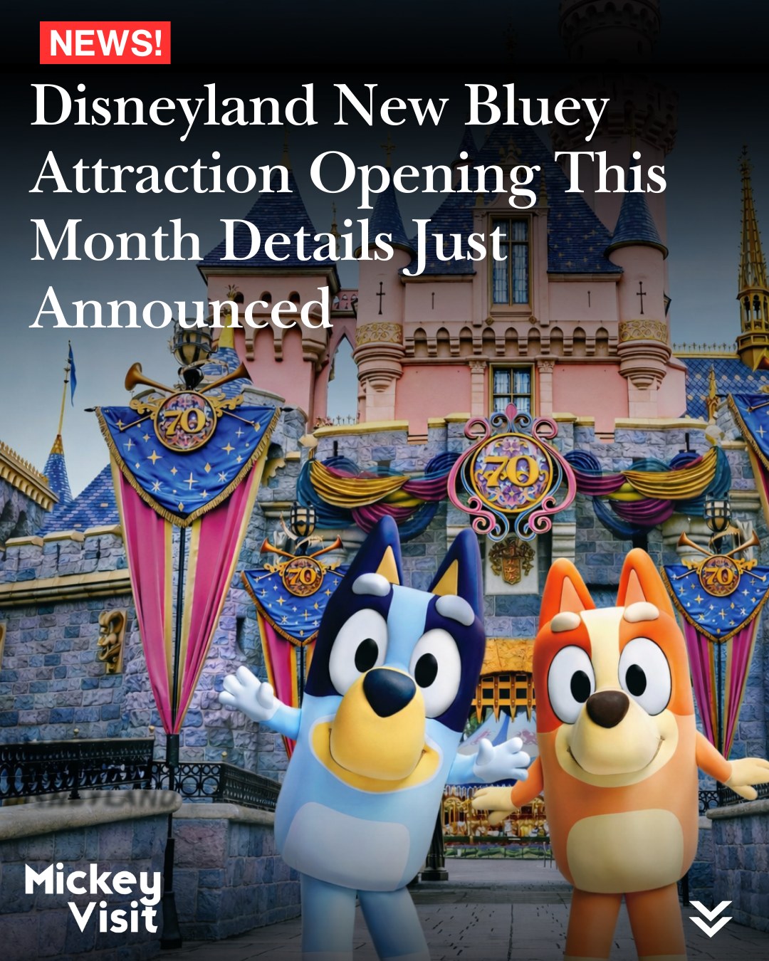 Bluey car magnets and plush keychains at Disneyland Resort