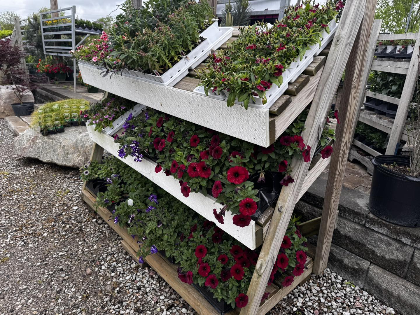 Showplace Garden... - Showplace Garden Center and Landscaping