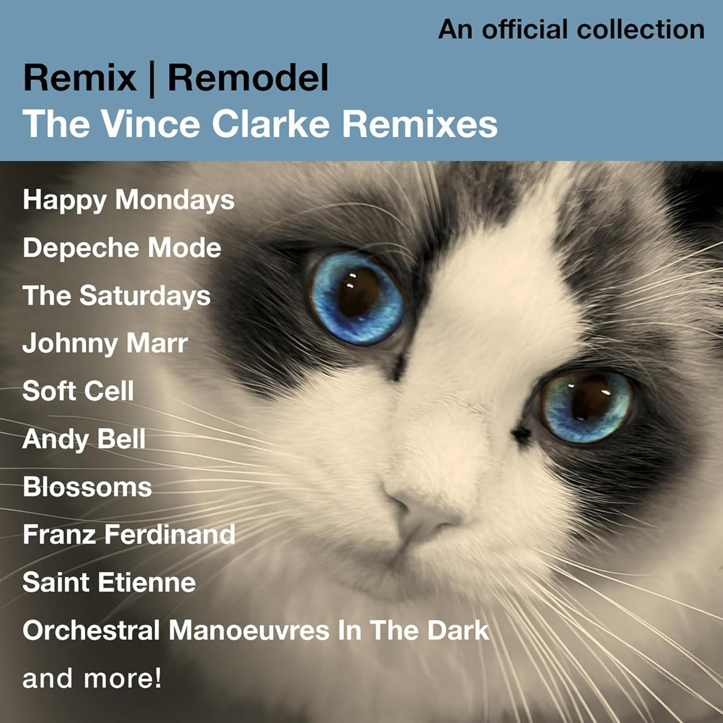 Remix / Remodel