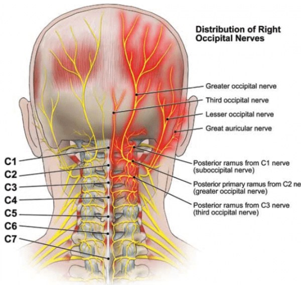 Dr. Muhammed Ziya added a new photo. - Dr. Muhammed Ziya