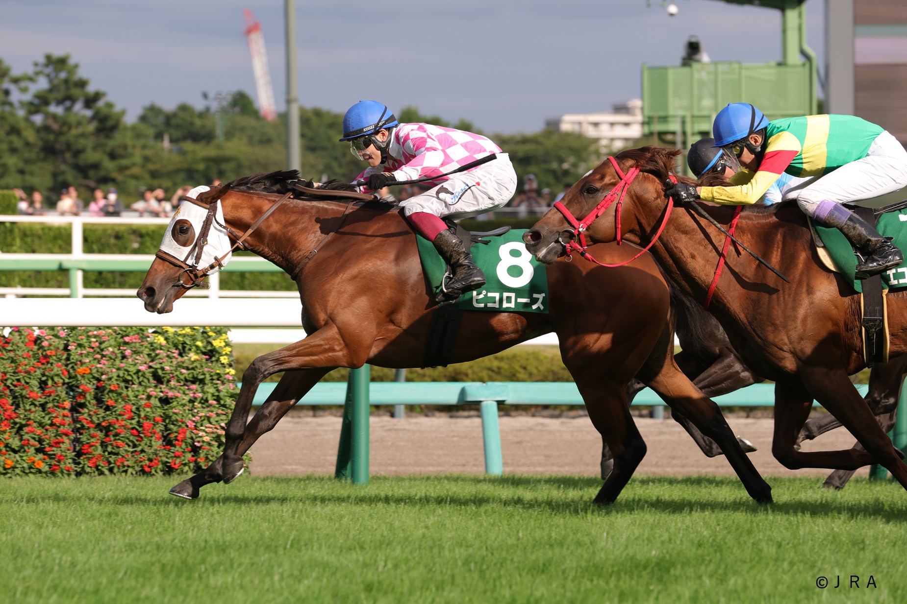 JRA（日本中央競馬会） - 1994年の朝日杯3歳ステークス（現：朝日杯