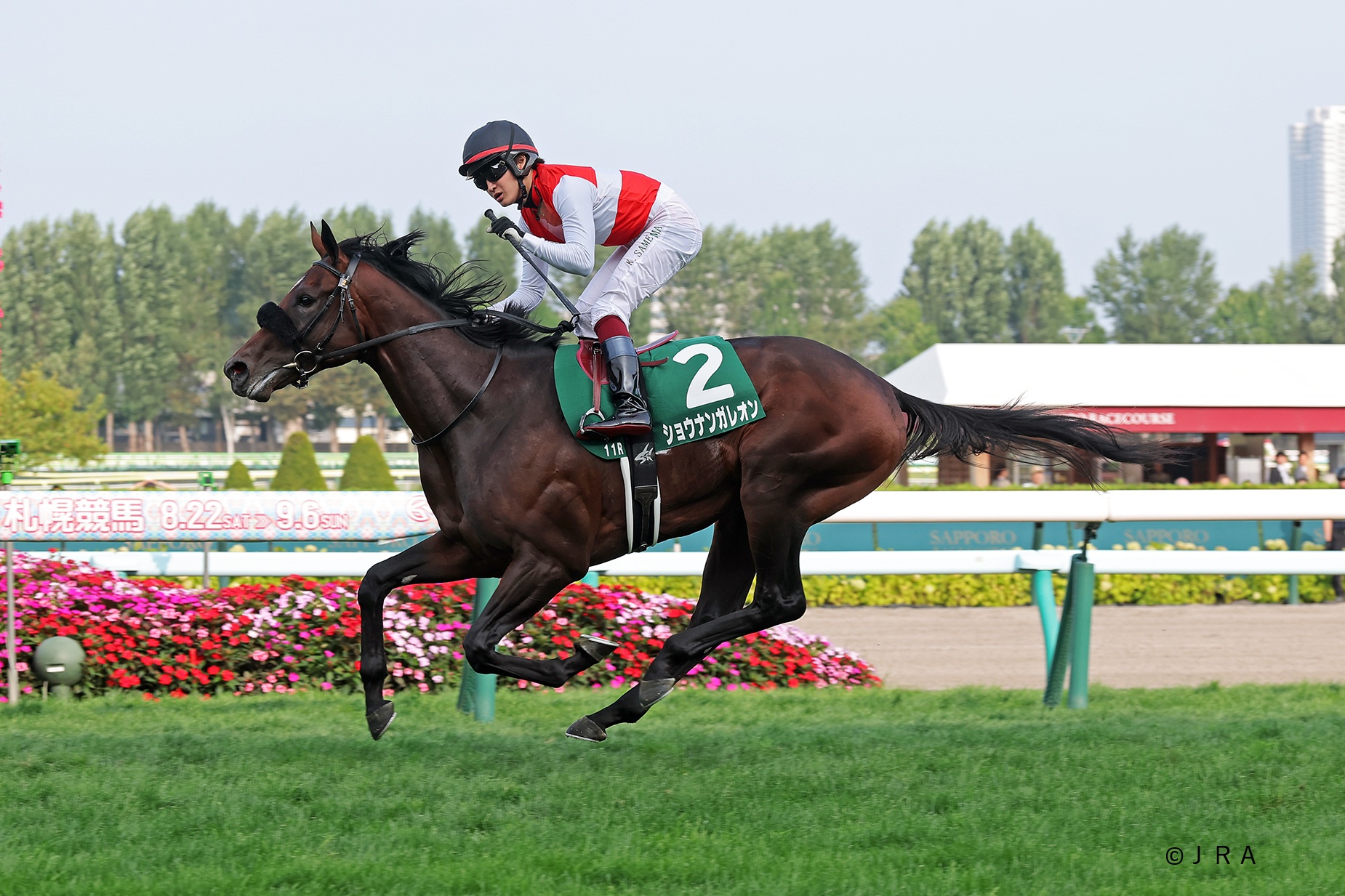 JRA（日本中央競馬会） - 1998年の毎日王冠を制したのは