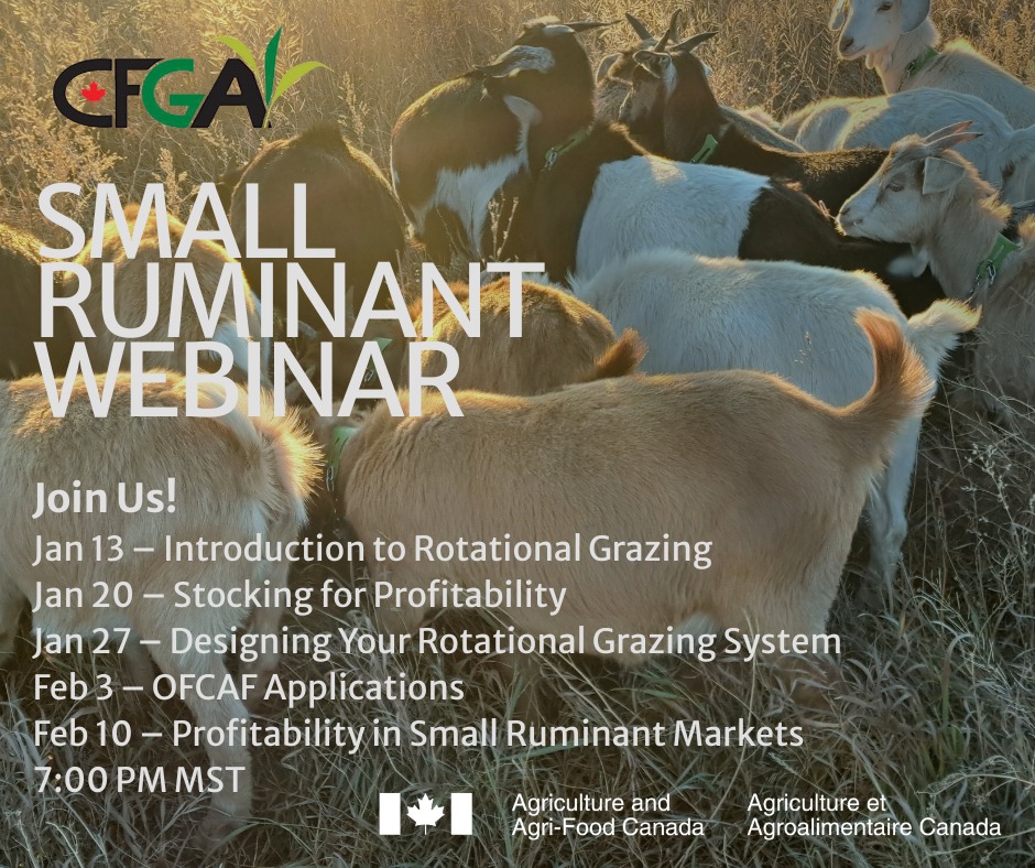 Foothills Forage... - Foothills Forage & Grazing Association