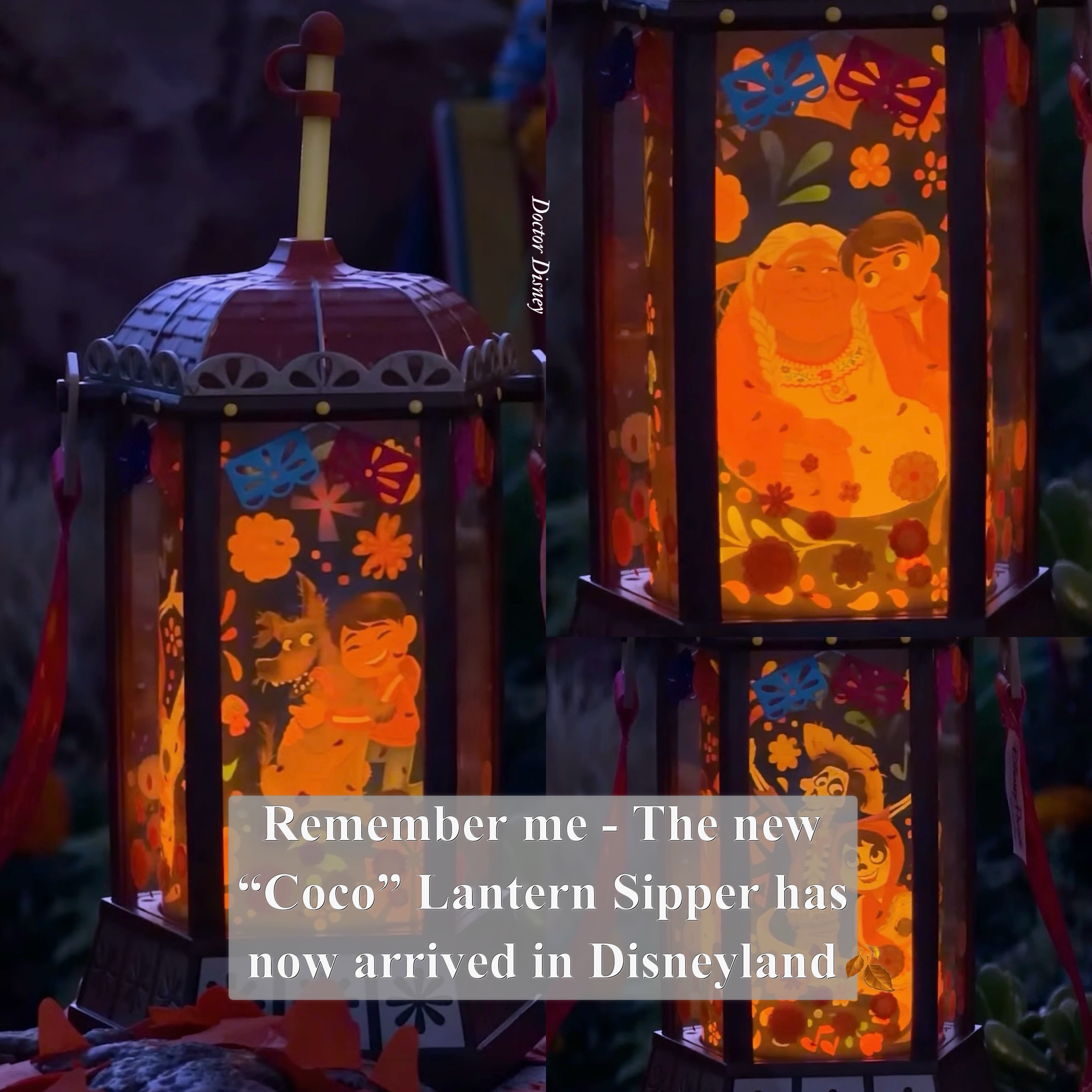 The brand new “Coco” Lantern Sipper has floated in and is now