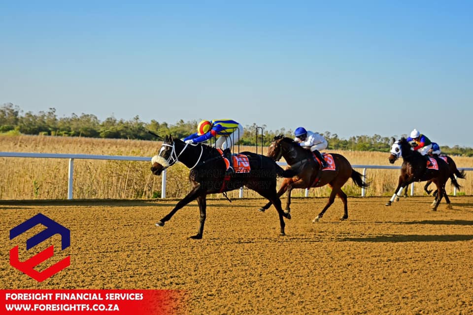 THE HIGHWAY MAN causes a huge... - Gavin Smith Racing Stables | Facebook
