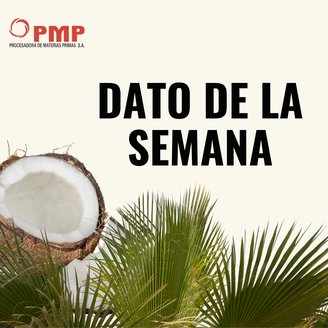 pmp.sa - El aceite de palmiste es muy similar al aceite de...