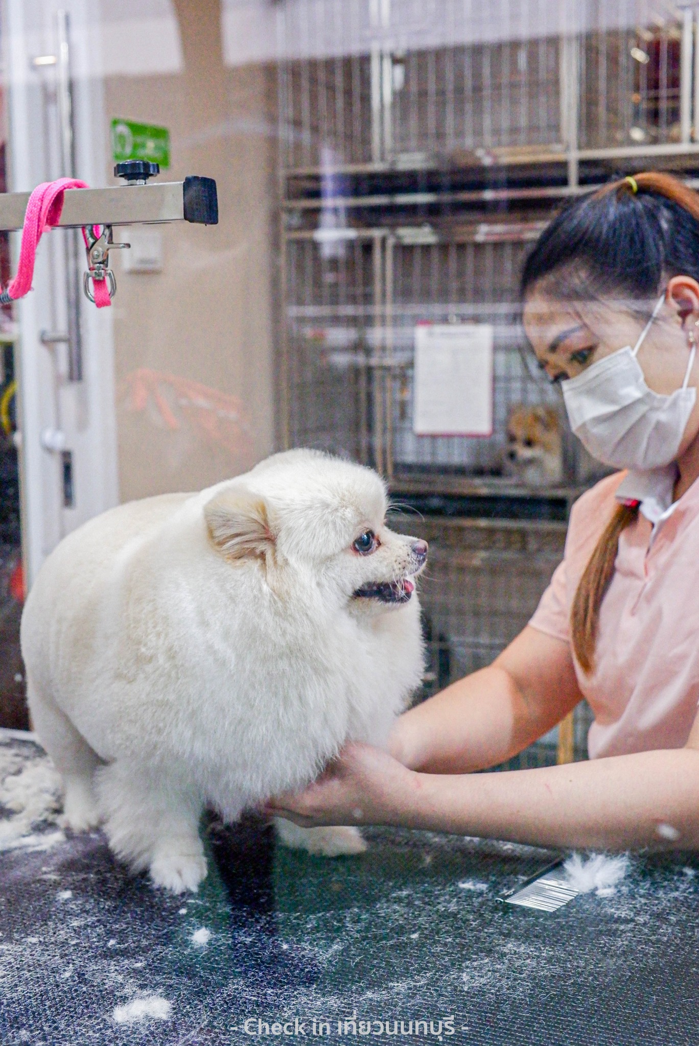 🐶😸 #ครบวงจร... - Check in เที่ยวนนทบุรี