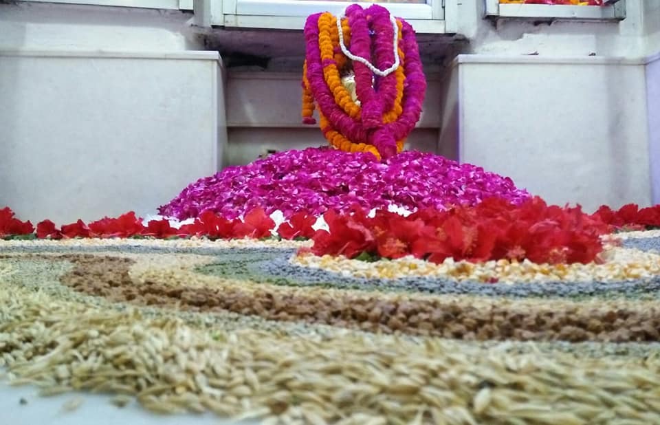 Pankaj rajput,rajput added a new... - Pankaj rajput,rajput