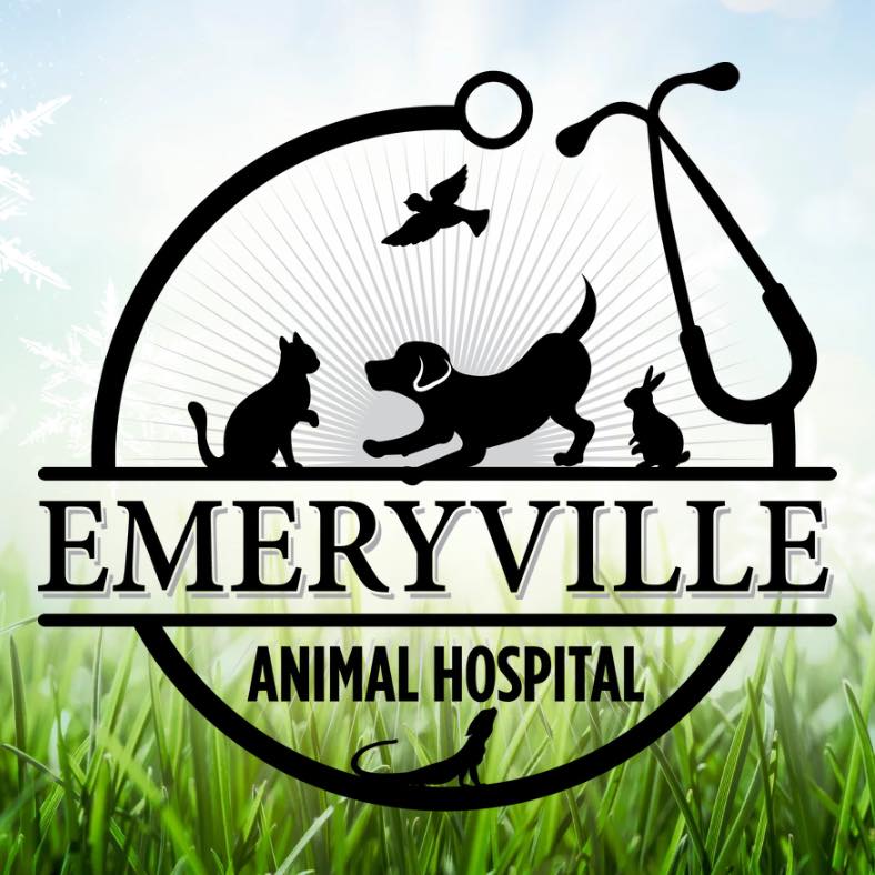 In Honour of #rvtmonth - Get to know our RVTs! #emeryvilleontario # ...