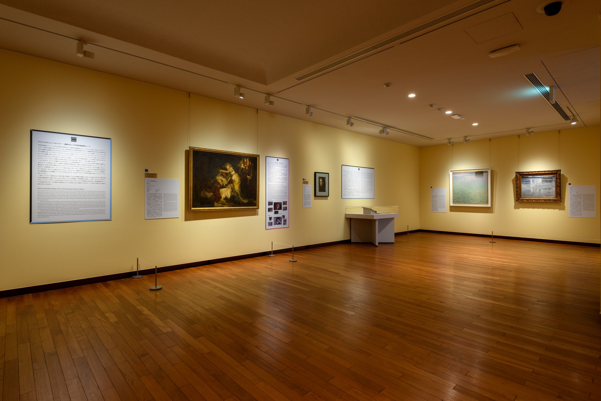 国立西洋美術館 - 国立西洋美術館 National Museum of Western Art