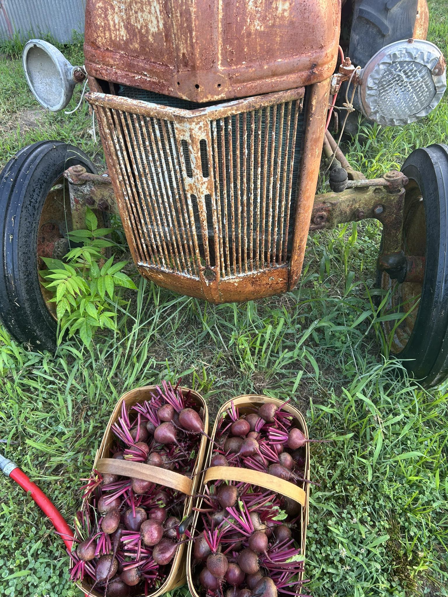 Wilson's Farm