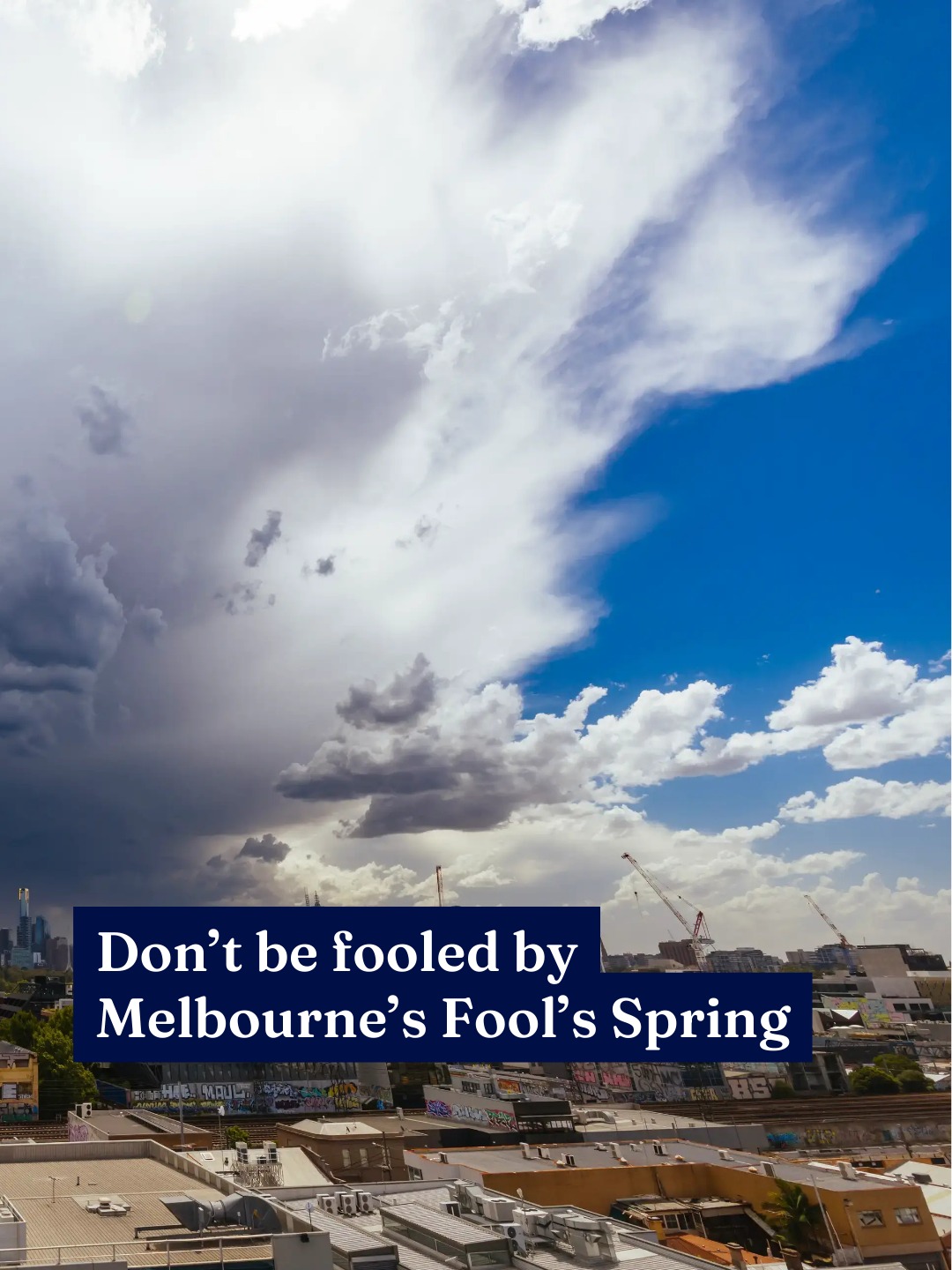 The University of Melbourne - For the seventh consecutive year, the ...