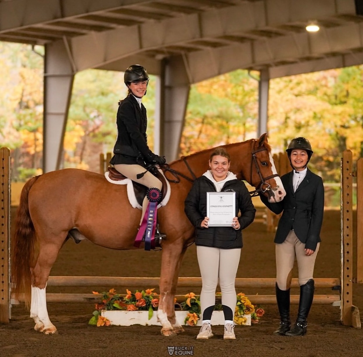 Falcon Ridge Stables | Woodstock GA