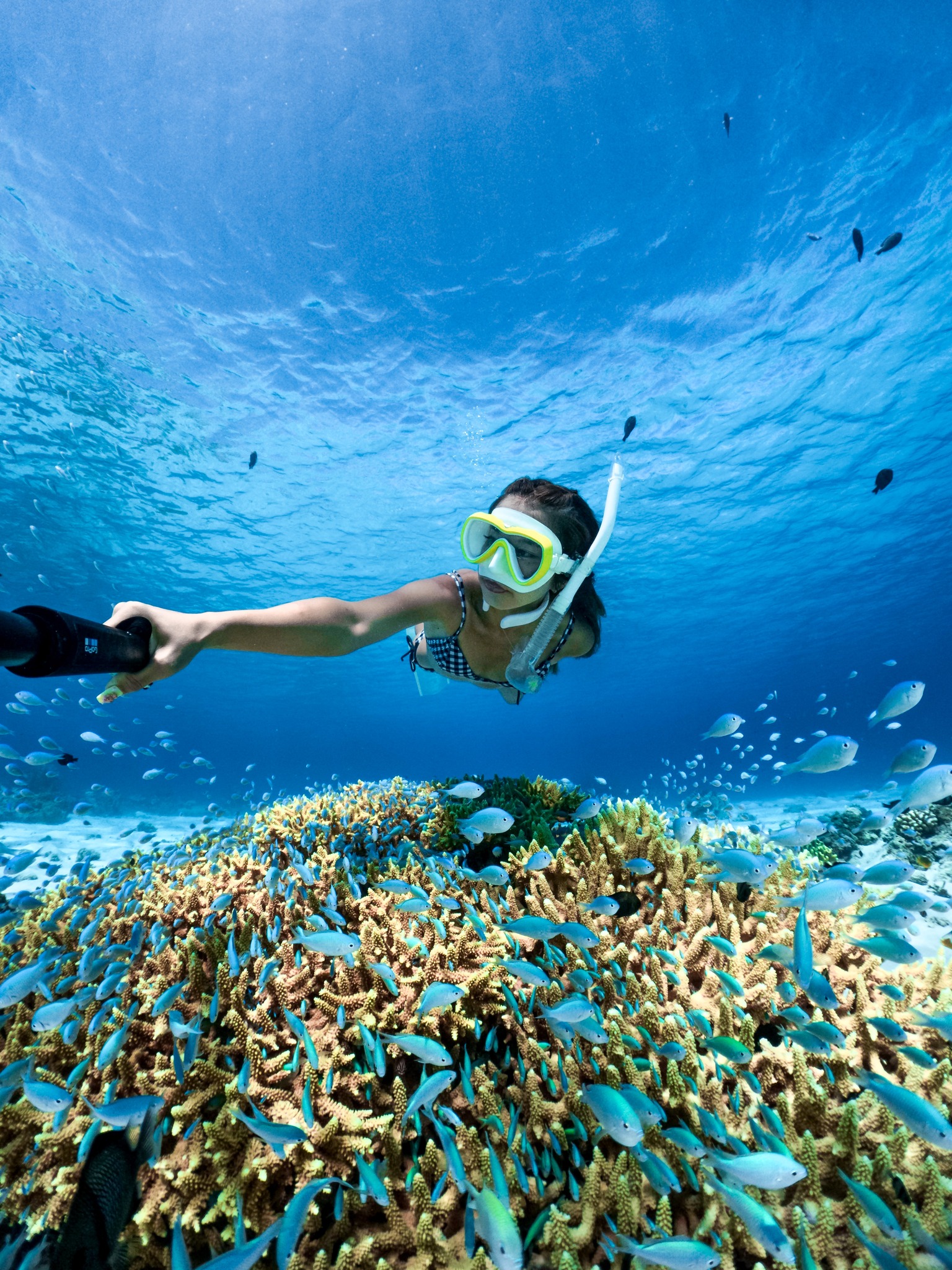 Kerama blue water in Japan