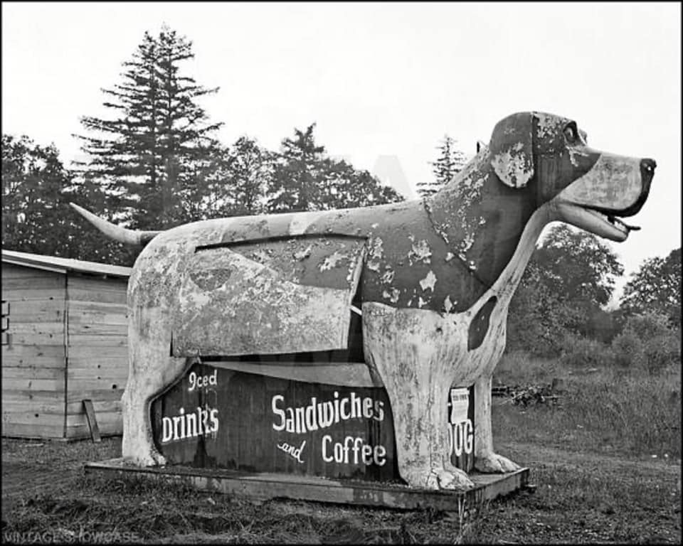 Happy National Dog Day! Here's a great old roadside snack bar once