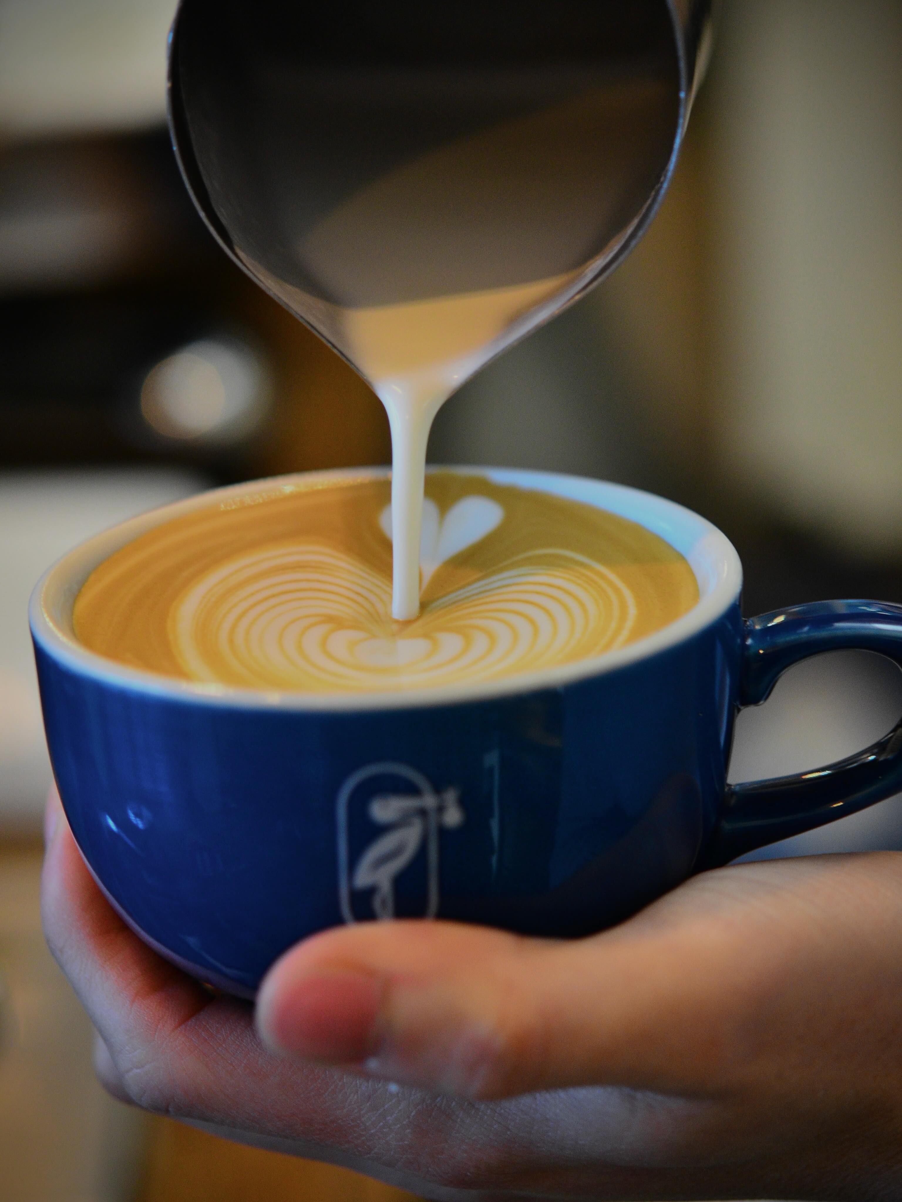 Philocoffea | Funabashi-shi Chiba