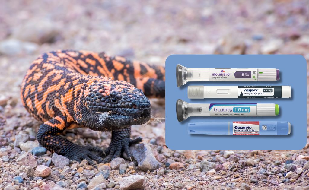 glp 1 venom Gila monster venom… and weight loss? 🦎 It sounds wild, but it's true. GLP-1 medications were inspired by a hormone first discovered in the saliva of a Gila monster. On this week's GLP-1 weight-loss drugs inspired by