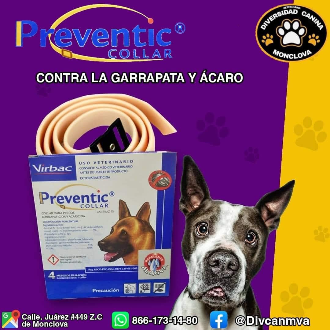 Diversidad Canina Monclova - 😱 SÚPER OFERTA😱 collar preventic para ...