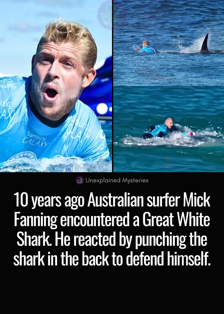 10 years ago Australian surfer Mick Fanning encountered a Great White ...