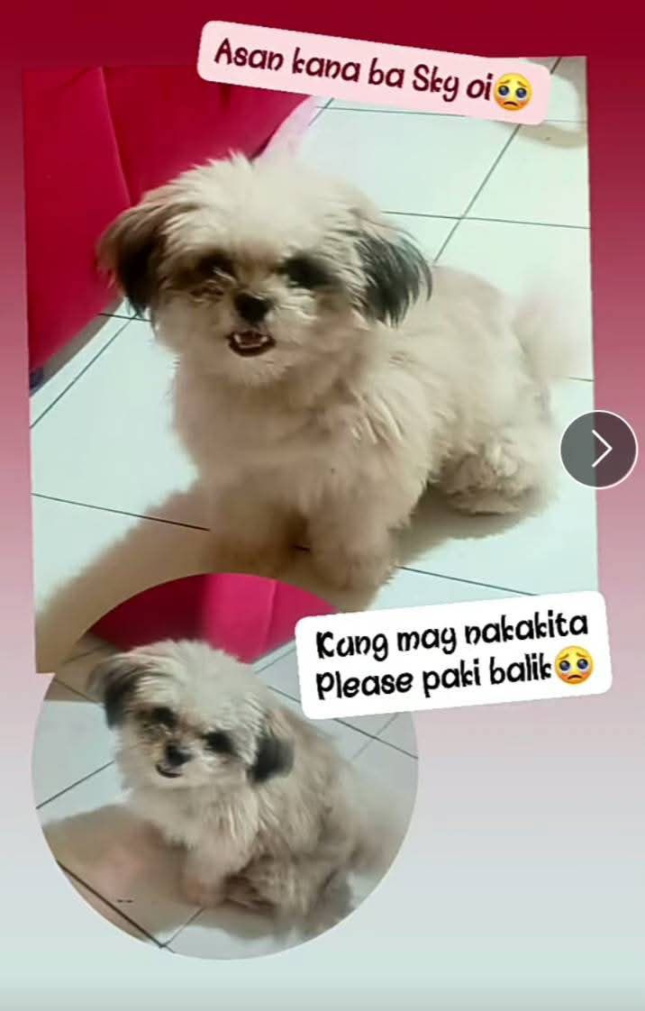 Jonna Layso Paguirigan
