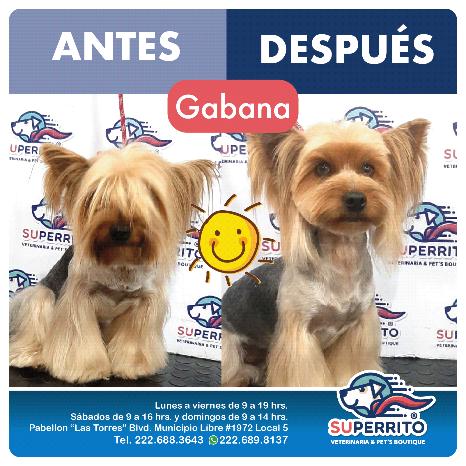 Superrito - 🔶 TODOS LOS DÍAS TENEMOS SERVICIO DE BAÑO Y...