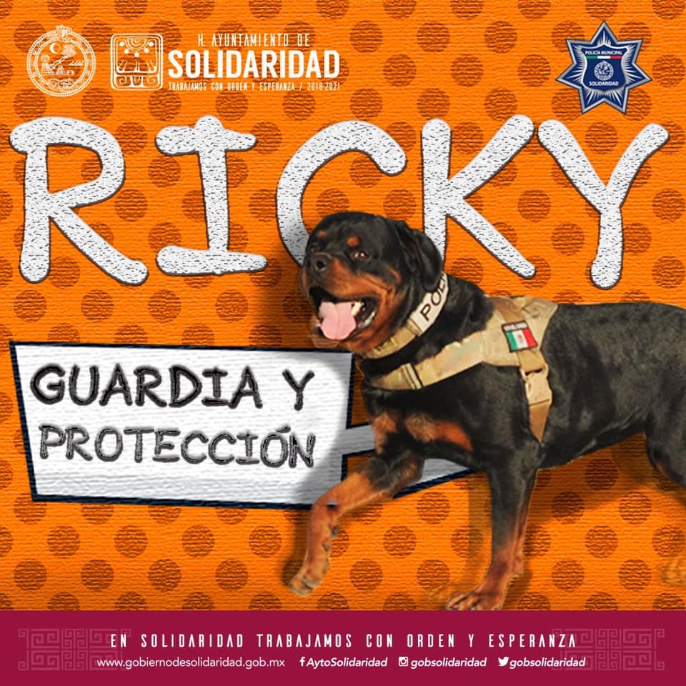 GAIA PET CARE - Conoce a Roca, Martina, Mono, Ricky y Kano... | Facebook
