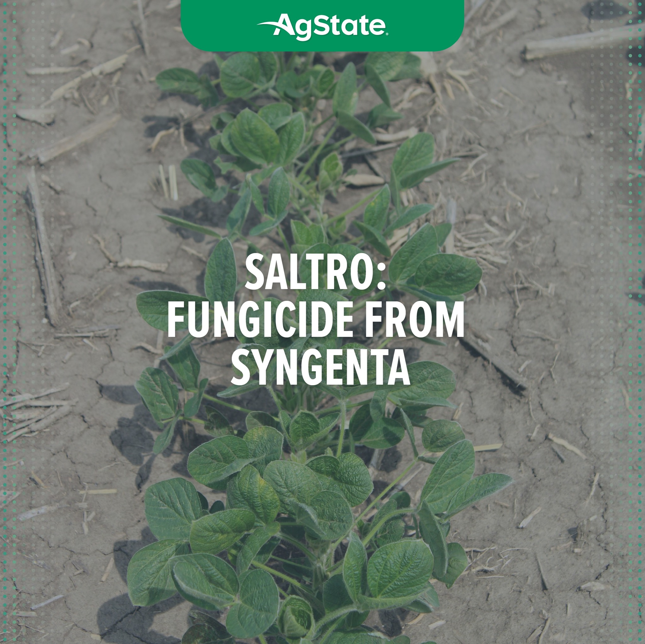 AgState - Powered by ADEPIDYN® technology, a revolutionary SDHI mode of ...