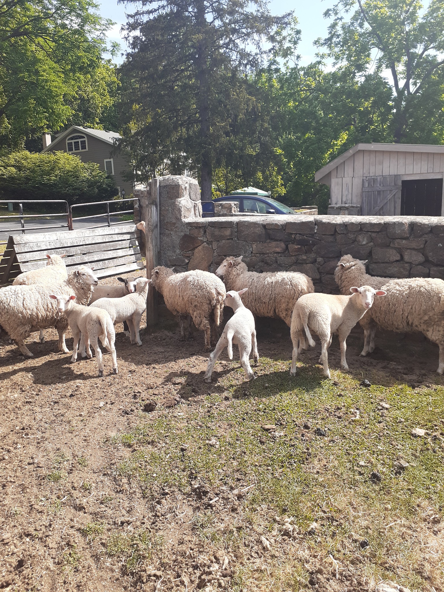 Stone Ridge Farm