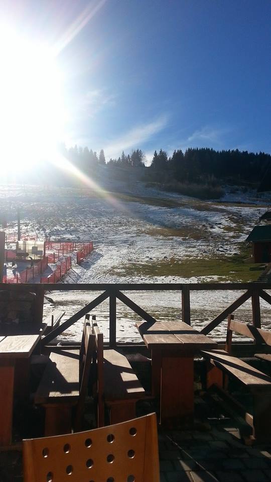 Boge rugovë