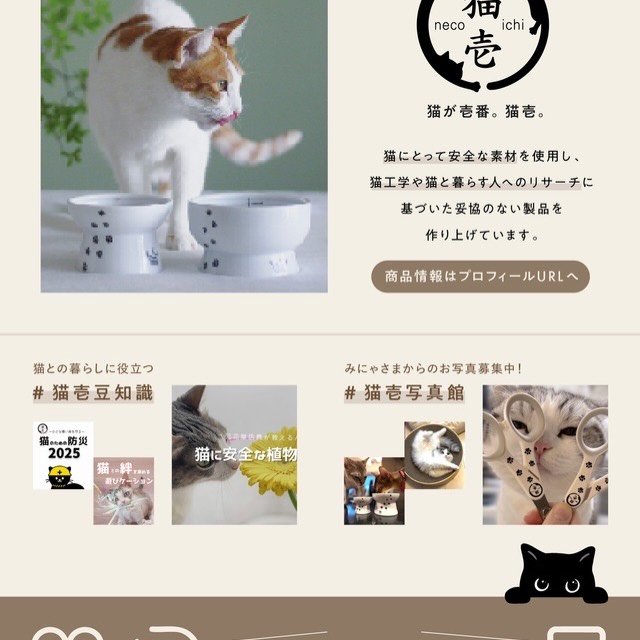 猫壱（ねこいち・ネコイチ） (@necoichi.co.jp) • Facebook