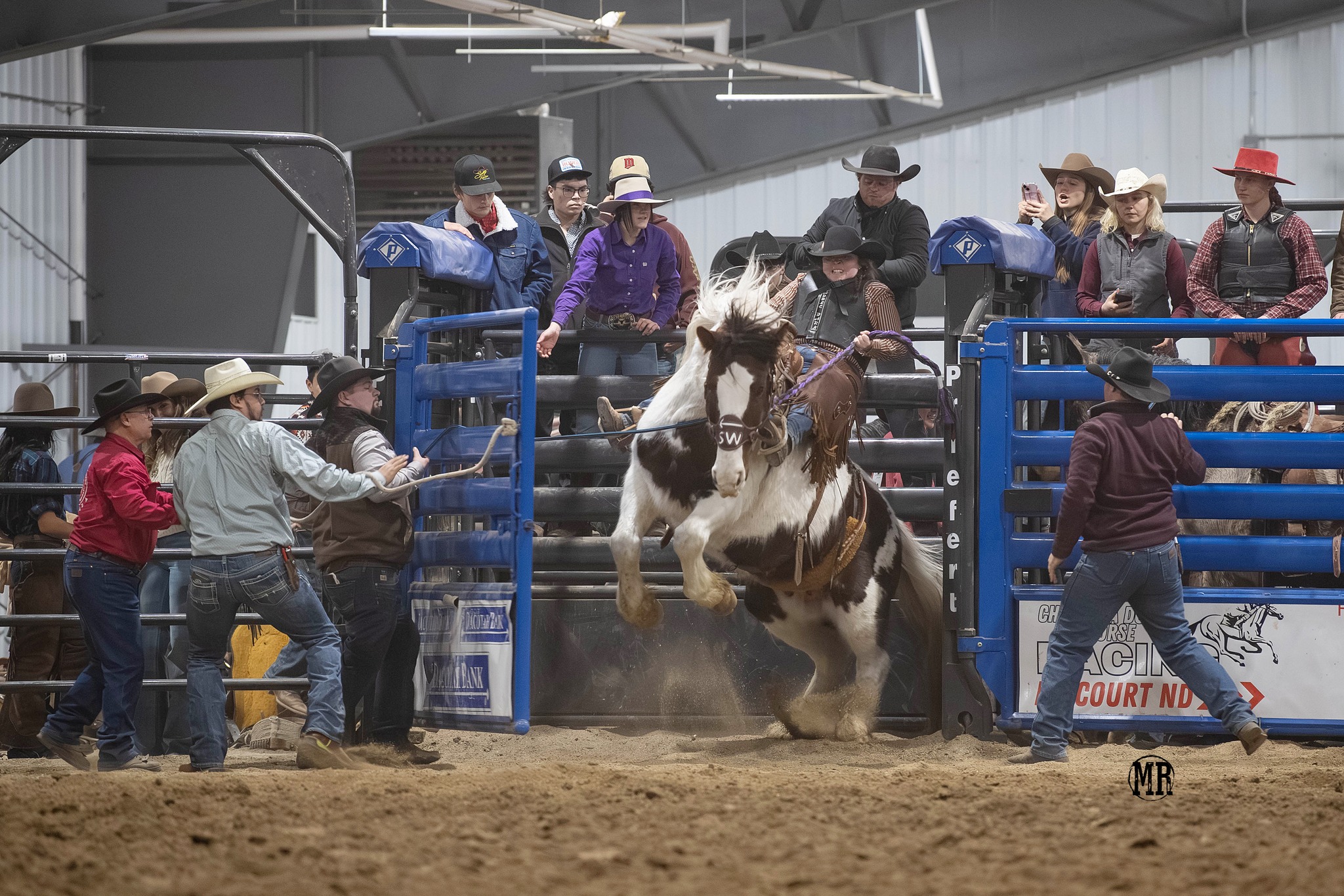 Michelle - Skye Rees - Sky Dancer Rough Stock Challenge # ...