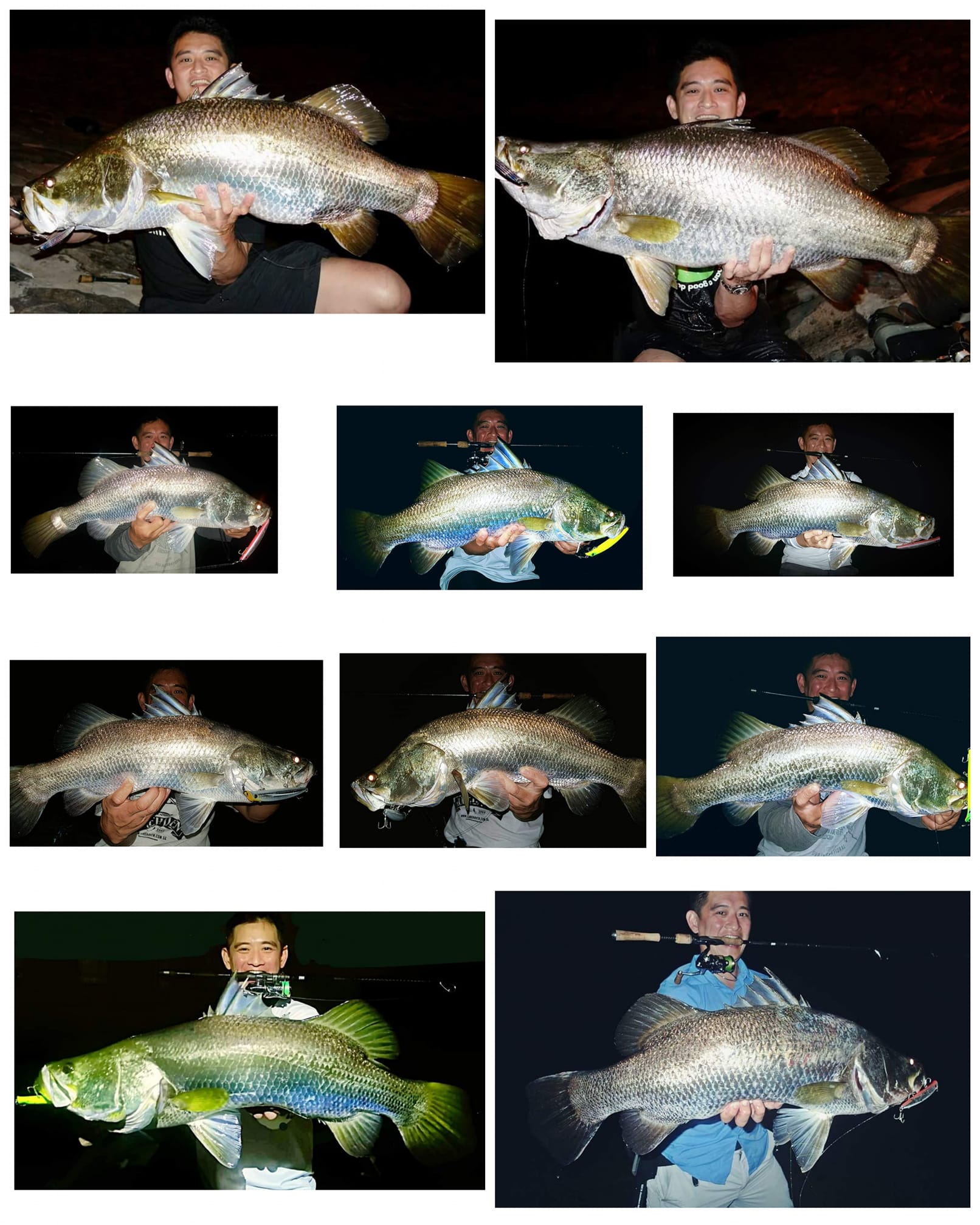 IMA Sasuke and Komomo lures for Japanese seabass