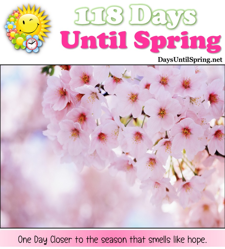 Spring Countdown 💛🌈🌷... - Spring Countdown | Facebook