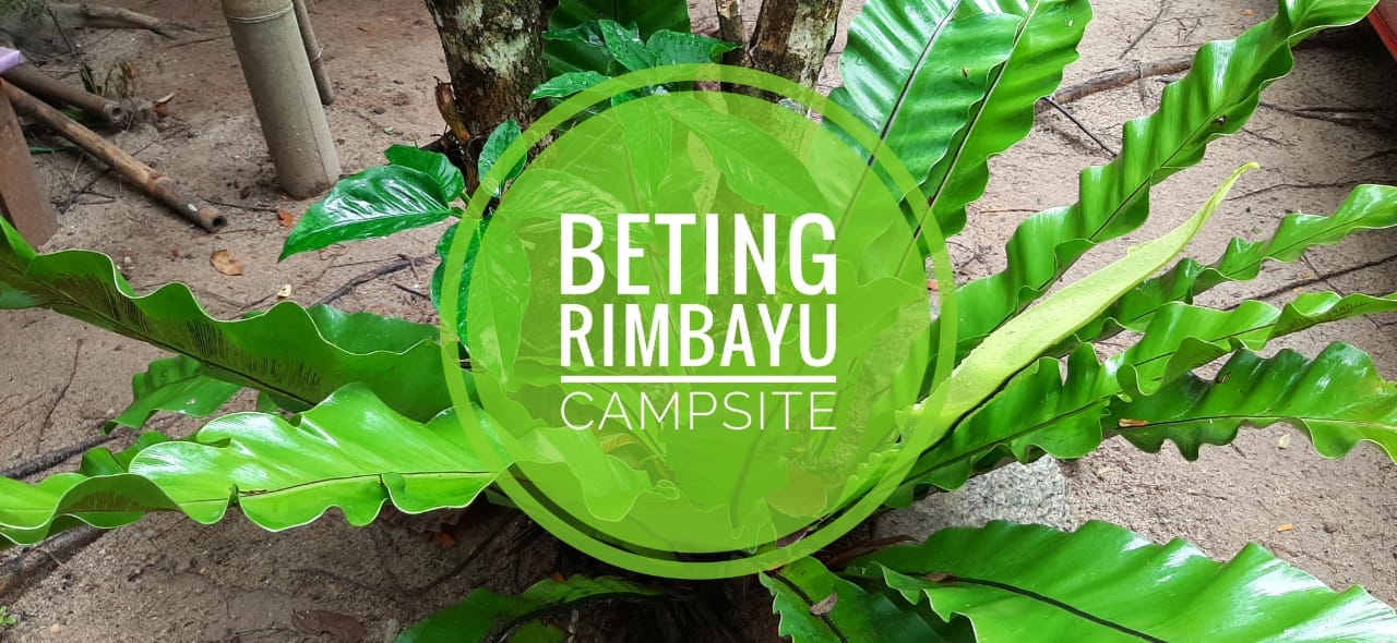 Beting Rimbayu Campsite | Kuala Kubu Bharu