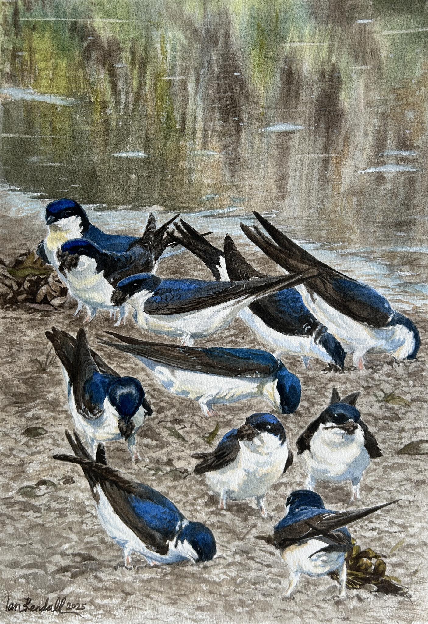 Ian Rendall Artist