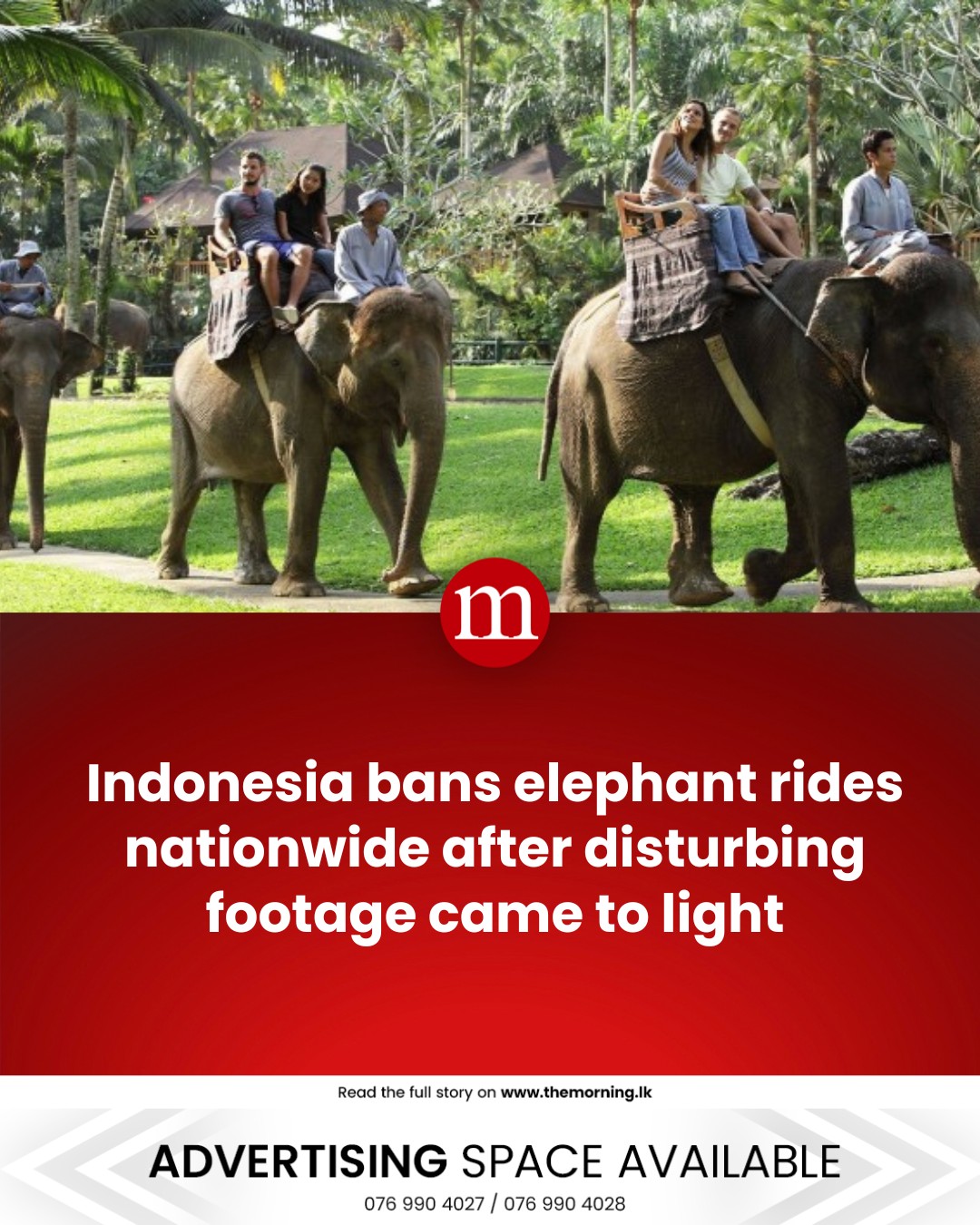 The Morning - Indonesia has officially banned elephant rides, bringing ...