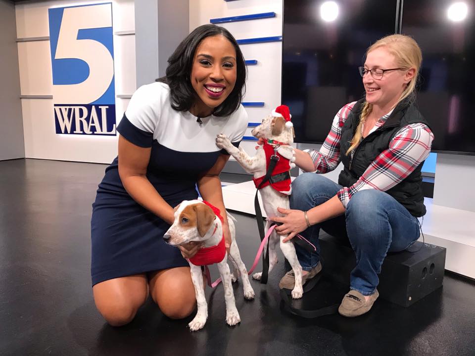 Meet Cinnamon Roll and Omelette, the... - WRAL Lena Tillett