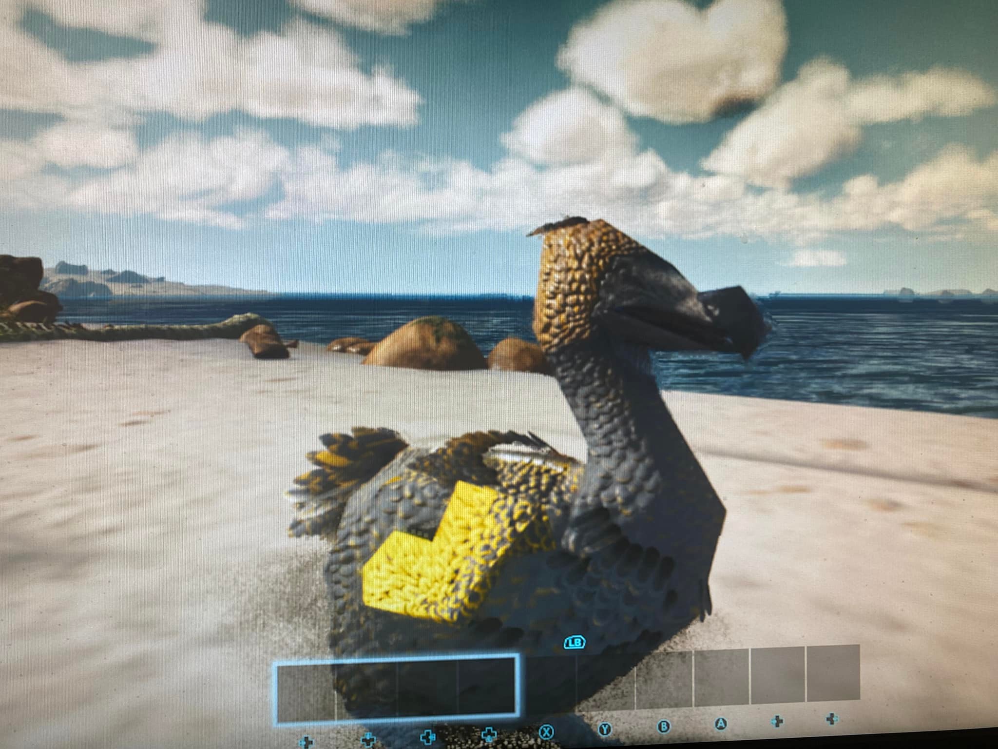 Ark Survival Ascended Community | Anybody know what is causing this ...